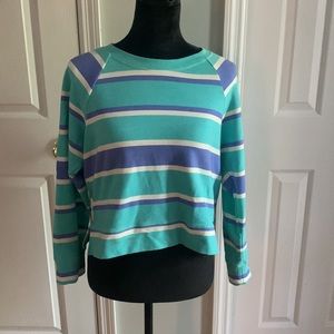 NWOT Wildfox Blue and Purple Striped Crop Sweater- Size S